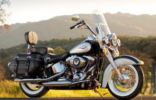 Harley Davidson motorcycle photo